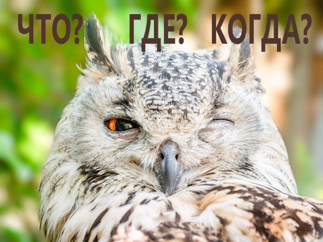 День рождения игры «Что? Где? Когда?» День рождения игры «Что? Где? Когда?»