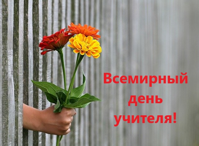 Всемирный день учителя (World Teachers Day) Всемирный день учителя (World Teachers Day)