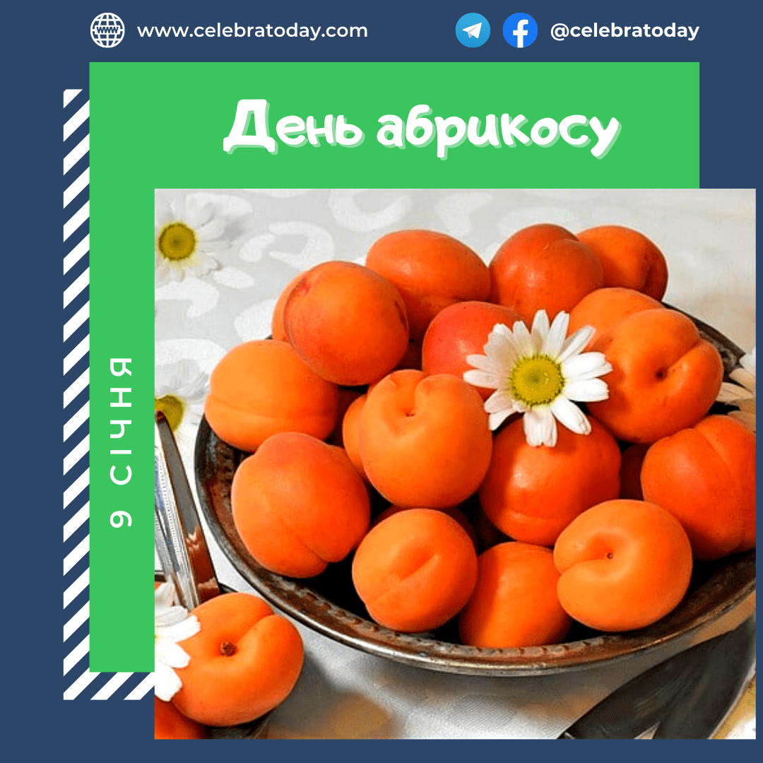 national-apricot-day