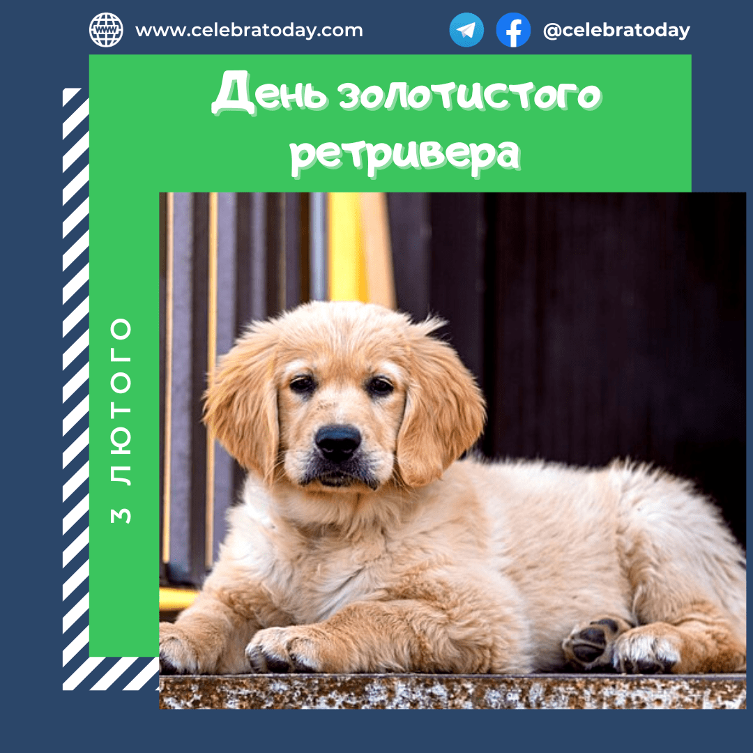 https://cdn.celebratoday.com/images/Celebratoday-golden-retriever-day-03-02.png