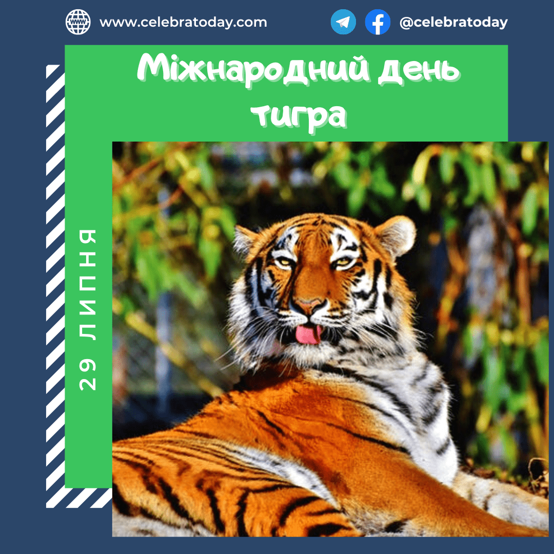 https://cdn.celebratoday.com/images/Celebratoday-tiger-day-29-07.png