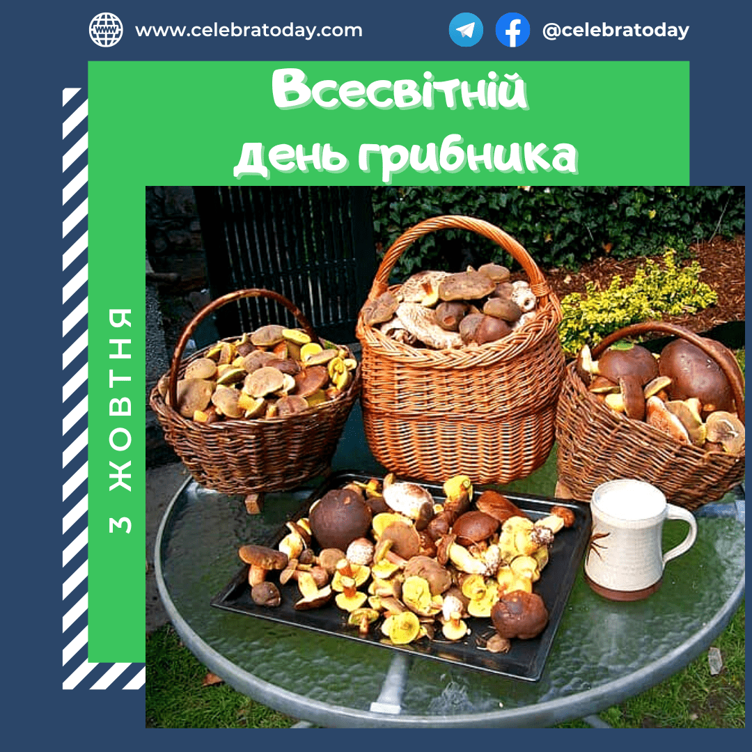 https://cdn.celebratoday.com/images/Celebratoday-world-mushroom-picking-day-03-10.png