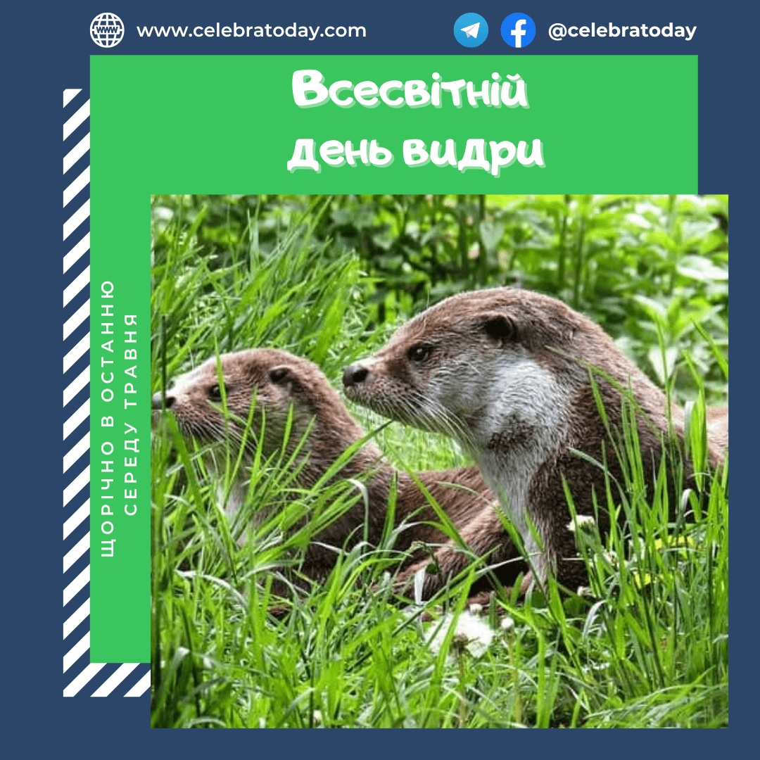 https://cdn.celebratoday.com/images/Celebratoday-world-otter-day.png